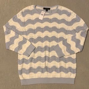 Ann Taylor Chevron Pointelle Sweater